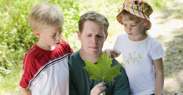 Children examining a plant during a family hike, with parents encouraging them